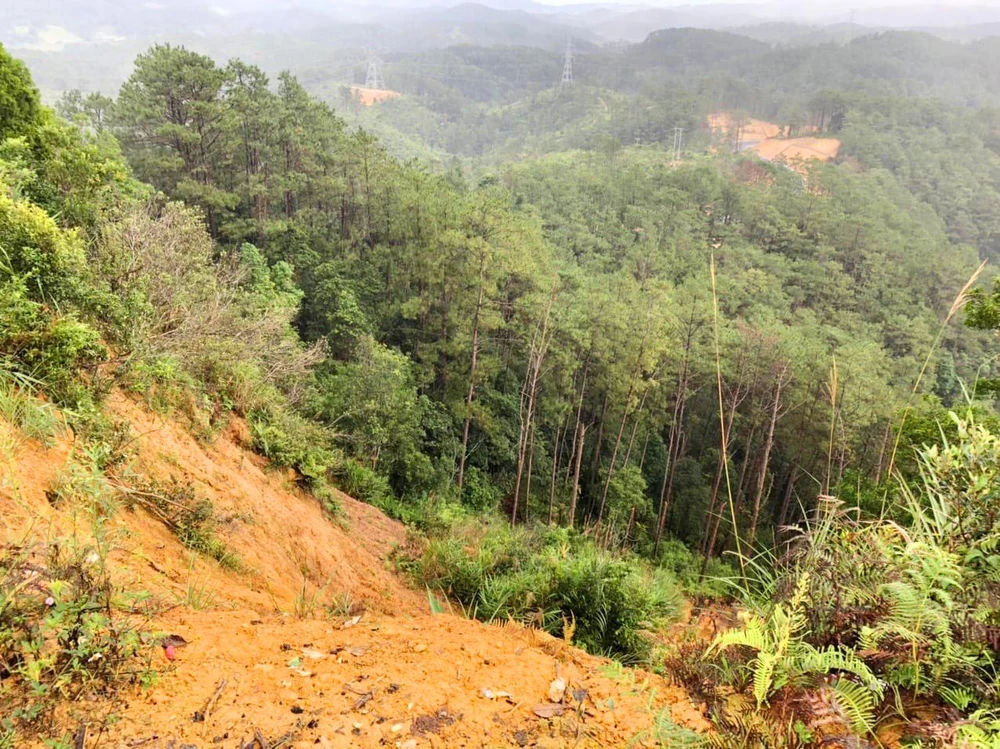 Đoạn dốc xe rơi xuống vực. Ảnh: CACC. Đoạn dốc xe rơi xuống vực. Ảnh: CACC.