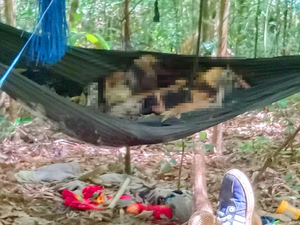 Thi thể trên võng được xác định là nam giới, tuổi từ 10-15. Ảnh: LT