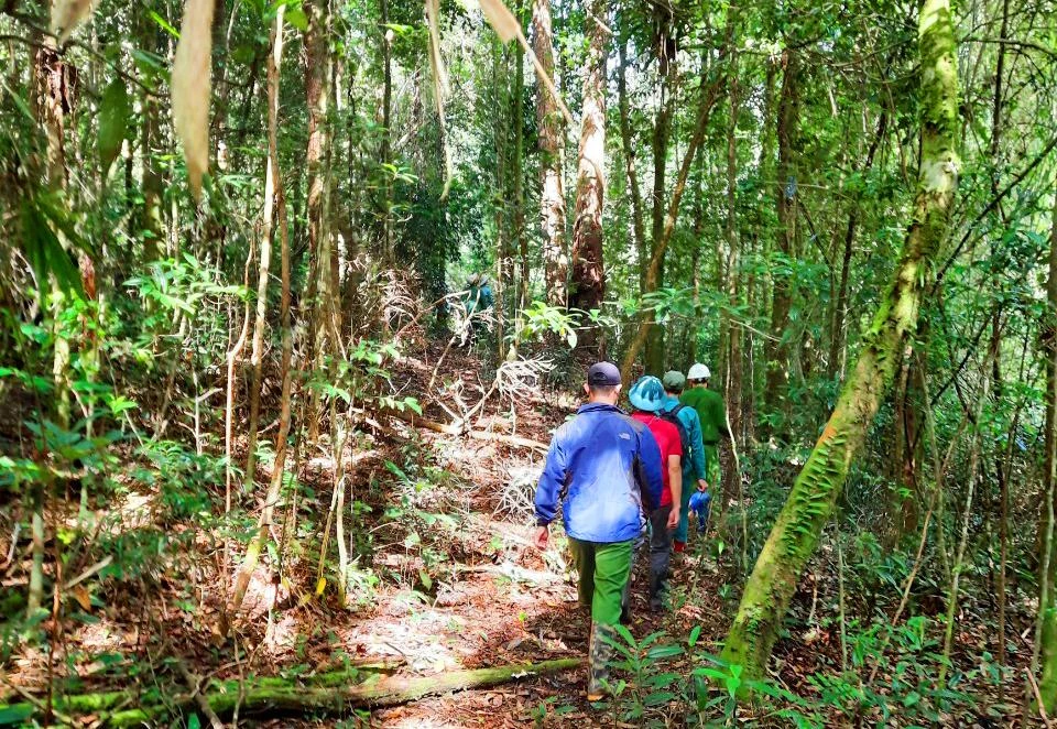 Lực lượng chức năng băng rừng đến hiện trường. Ảnh: LT.