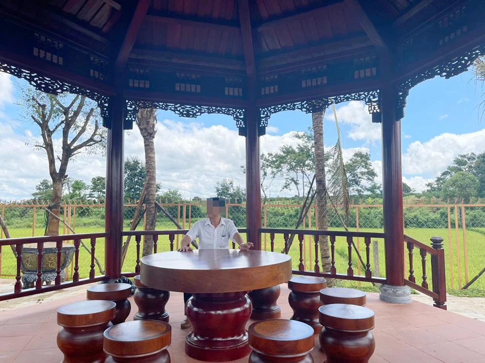 Khu nhà vườn có không gian rộng, ba mặt giáp với ruộng lúa.