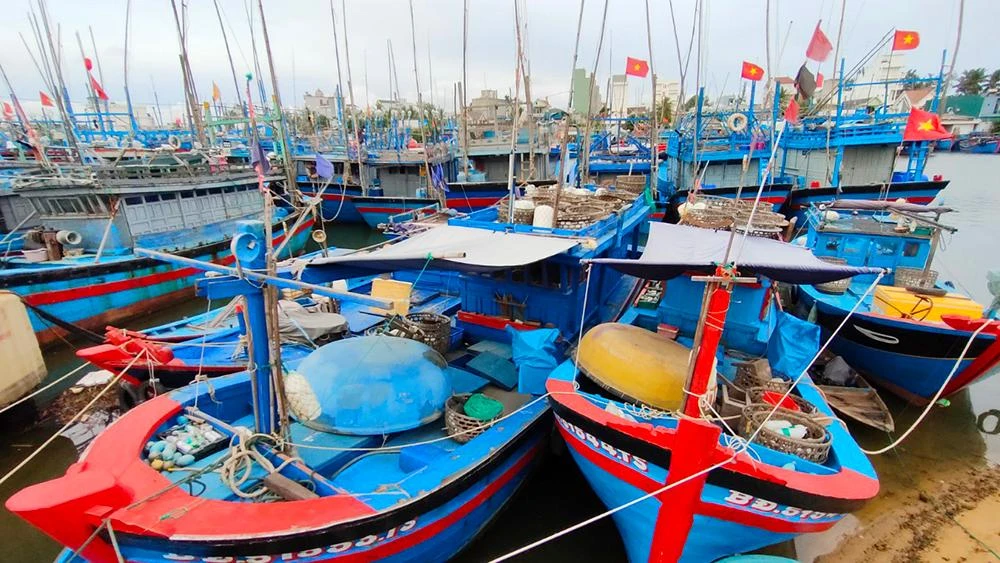 Các tàu thuyền ở thị xã Hoài Nhơn được neo đậu an toàn. Ảnh: LK.