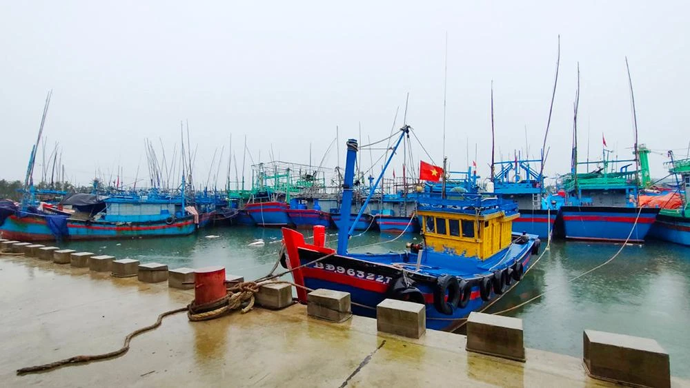 Tàu thuyền neo đậu an toàn tại cảng cá Tam Quan, Hoài Nhơn.