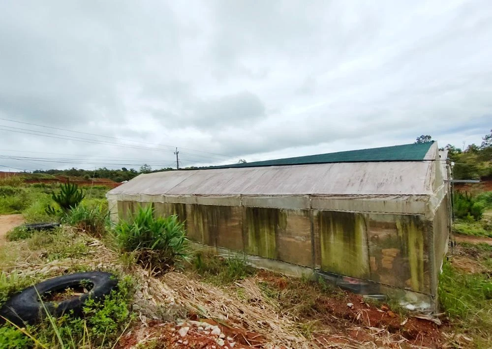 Nhiều dự án chậm tiến độ, sử dụng đất sai mục đích bị xử phạt. Ảnh: LK.