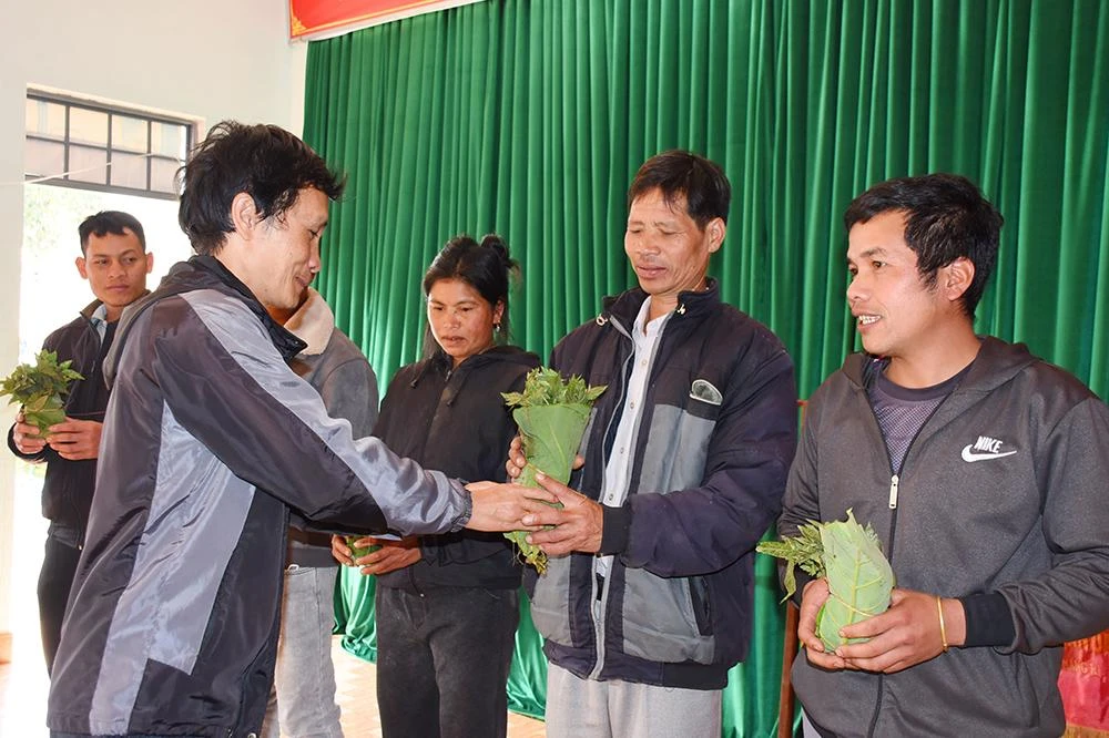 Trao sâm Ngọc Linh giống hỗ trợ hộ nghèo. Ảnh: VP