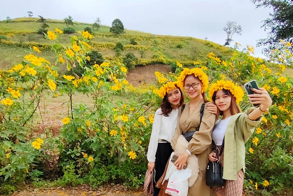 Sự kiện lễ hội hoa dã quỳ do huyện Huyện Chư Păh tổ chức thường niên tại núi lửa Chư Đăng Ya, thu hút rất nhiều người dân và du khách trong, ngoài nước đến đây. Trong tương lai gần, sự kiện sẽ được nâng tầm lên cấp tỉnh và sẽ được đầu tư quy mô, bài bản hơn.