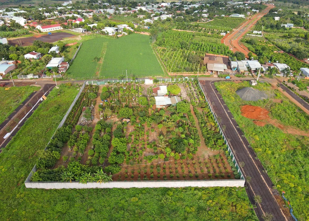 Thanh tra Chính phủ xác định đấu giá đất giá cao nhưng chuyển nhượng thấp để trốn thuế