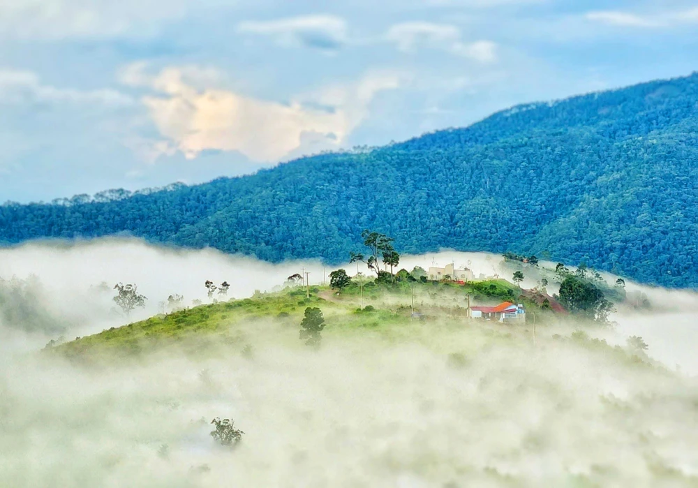 Một góc Măng Đen phủ trong sương mù, mờ ảo.