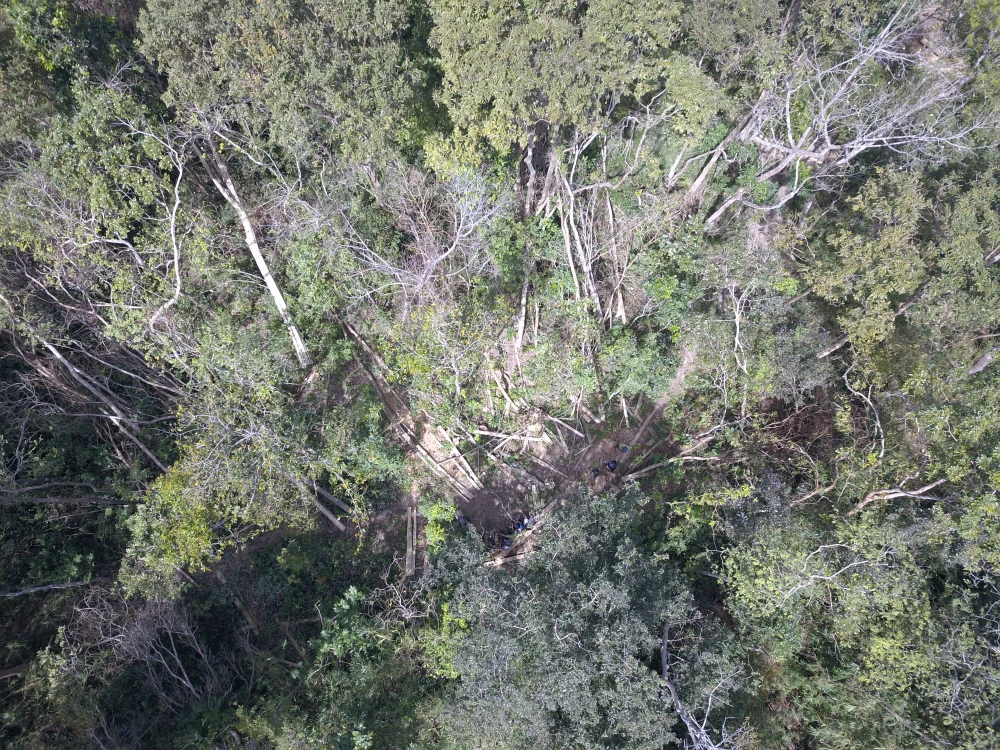 Khu vực rừng bị phá, nhìn từ trên cao.