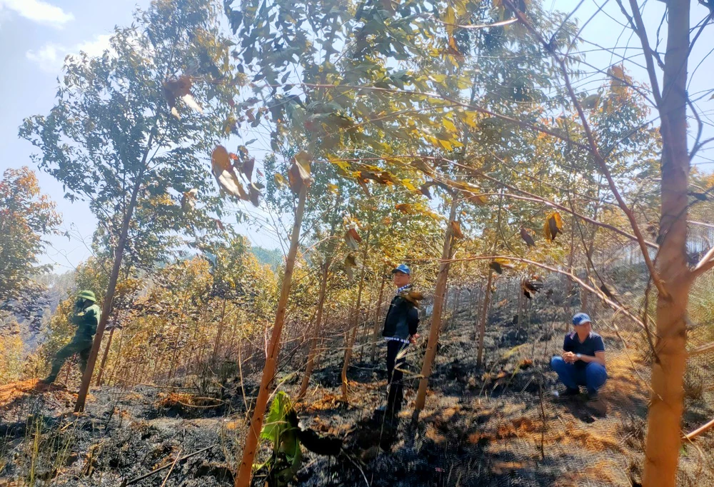 Hiện trường vụ cháy. Ảnh: VT.