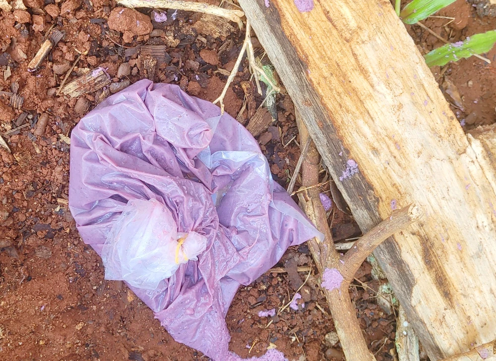 Bịch sơn trộn mắm tôm tại hiện trường. Ảnh: PV