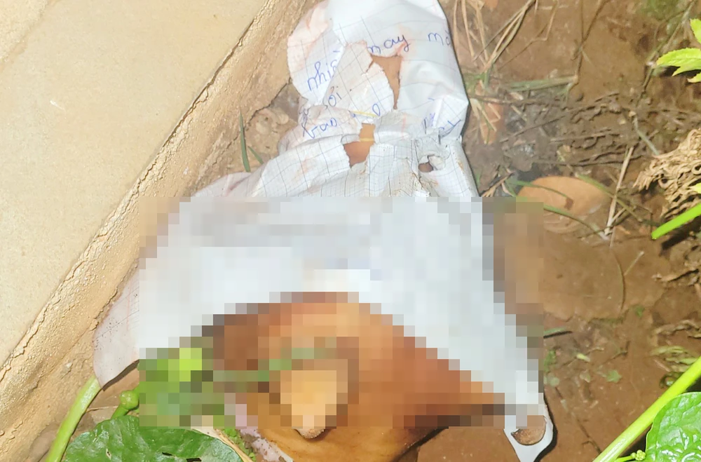 Chiếc đầu chó được bọc giấy kèm lời đe dọa nhà báo. Ảnh: LK.