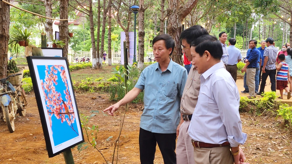 Ảnh đẹp về hoa đào đặc trưng Măng Đen.