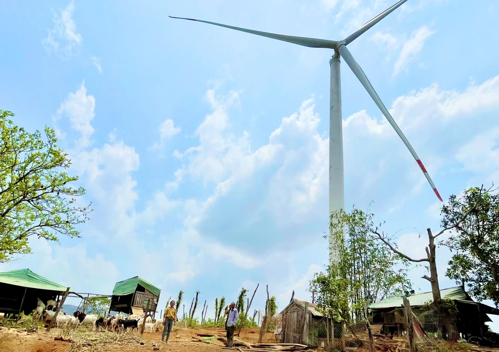 Doanh nghiệp cần liên hệ Bộ Công thương, Bộ TN&amp;MT đề nghị hướng dẫn các thủ tục tiếp theo cho dự án điện gió ngoài khơi ở Cần Giờ. Ảnh minh họa: PLO