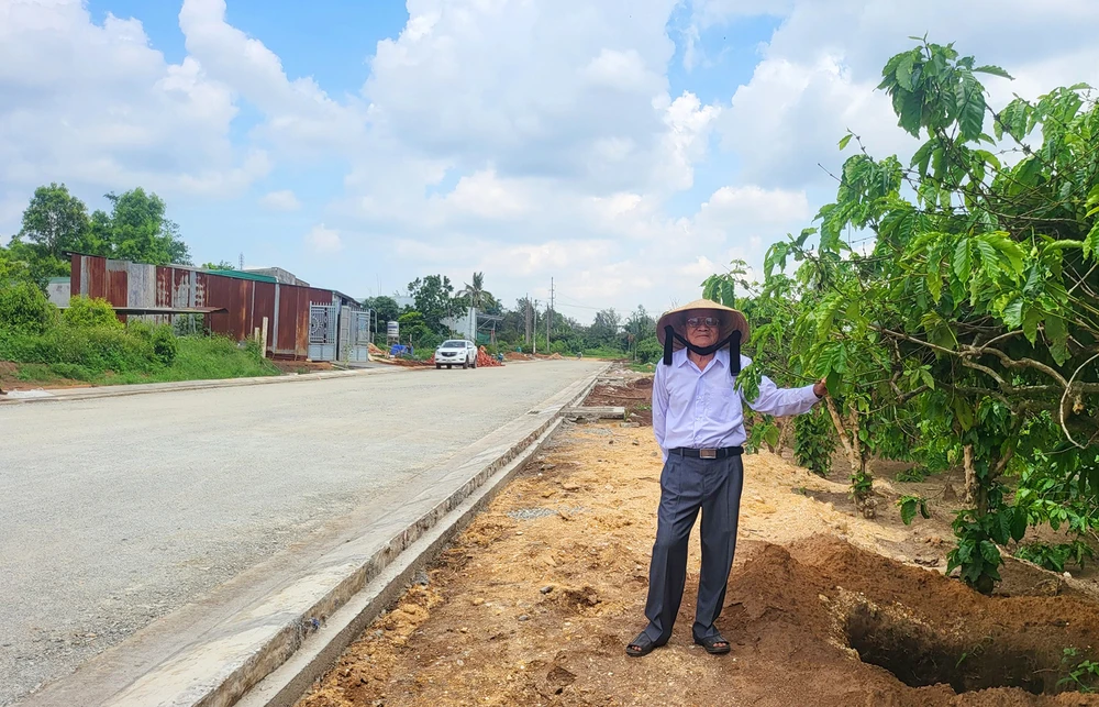 Ông Lê Triều hiến đất và cà phê để làm đường Âu Cơ. HP.