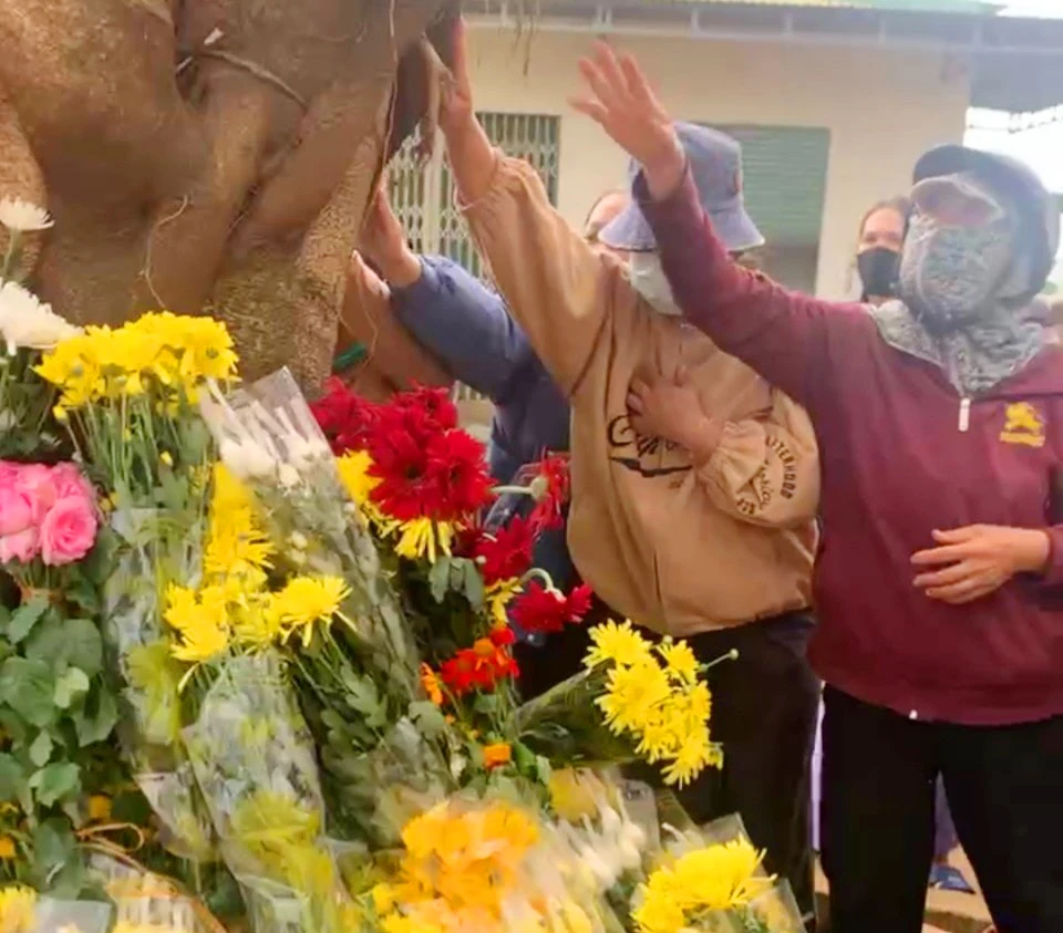 Nhiều người dân hoa, cầu nguyện tại gốc cây.