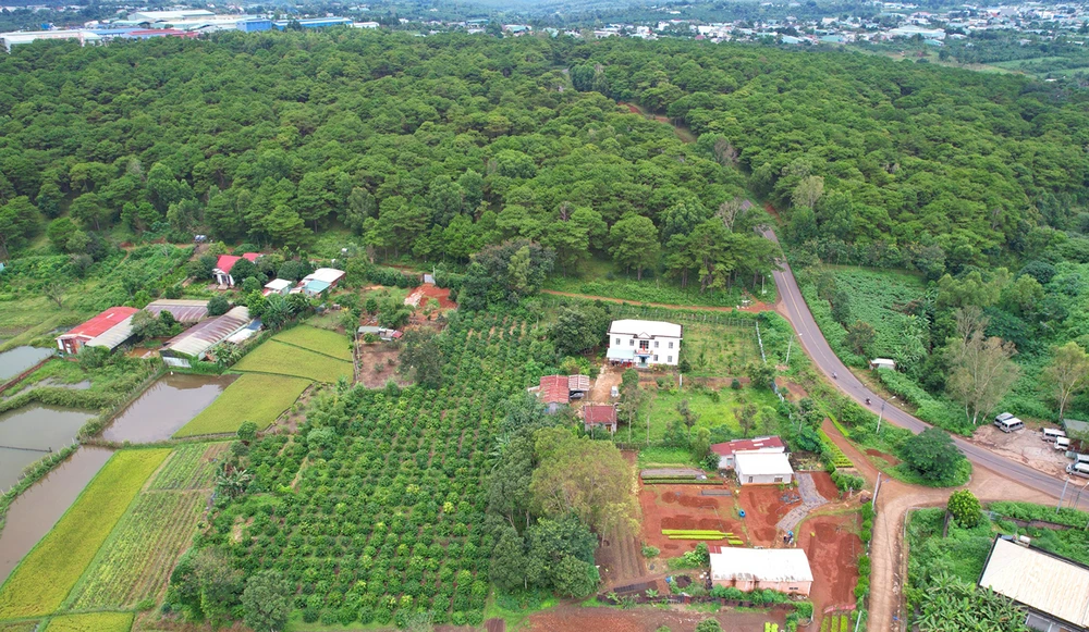 Dat-rung-ba-quan-ly-rung-phong-ho-bac-bien-ho 2.jpg