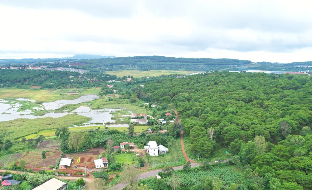 Dat-rung-ba-quan-ly-rung-phong-ho-bac-bien-ho 3.jpg