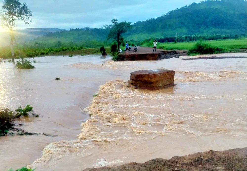 Duong-xa-ia-pior-bi-nuoc-cuon-hu-hong 1.jpg