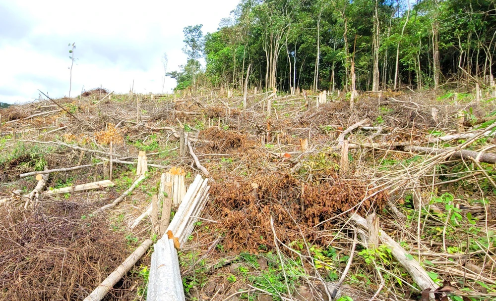 Pha-rung-o-huyen-kong-chro-Gia-lai 1.jpg