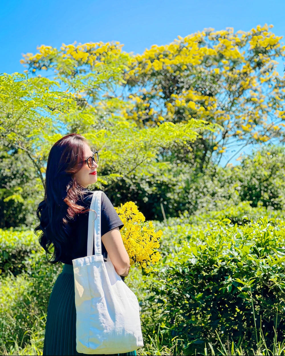 Mua-hoa-muong-vang-doi-che-bau-can 11.jpg