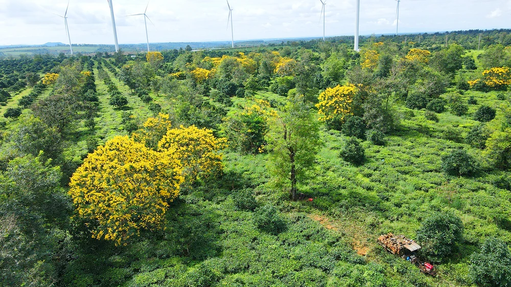 Thanh tra Chính phủ cung cấp thông tin 5 dự án điện gió đến Bộ Công an
