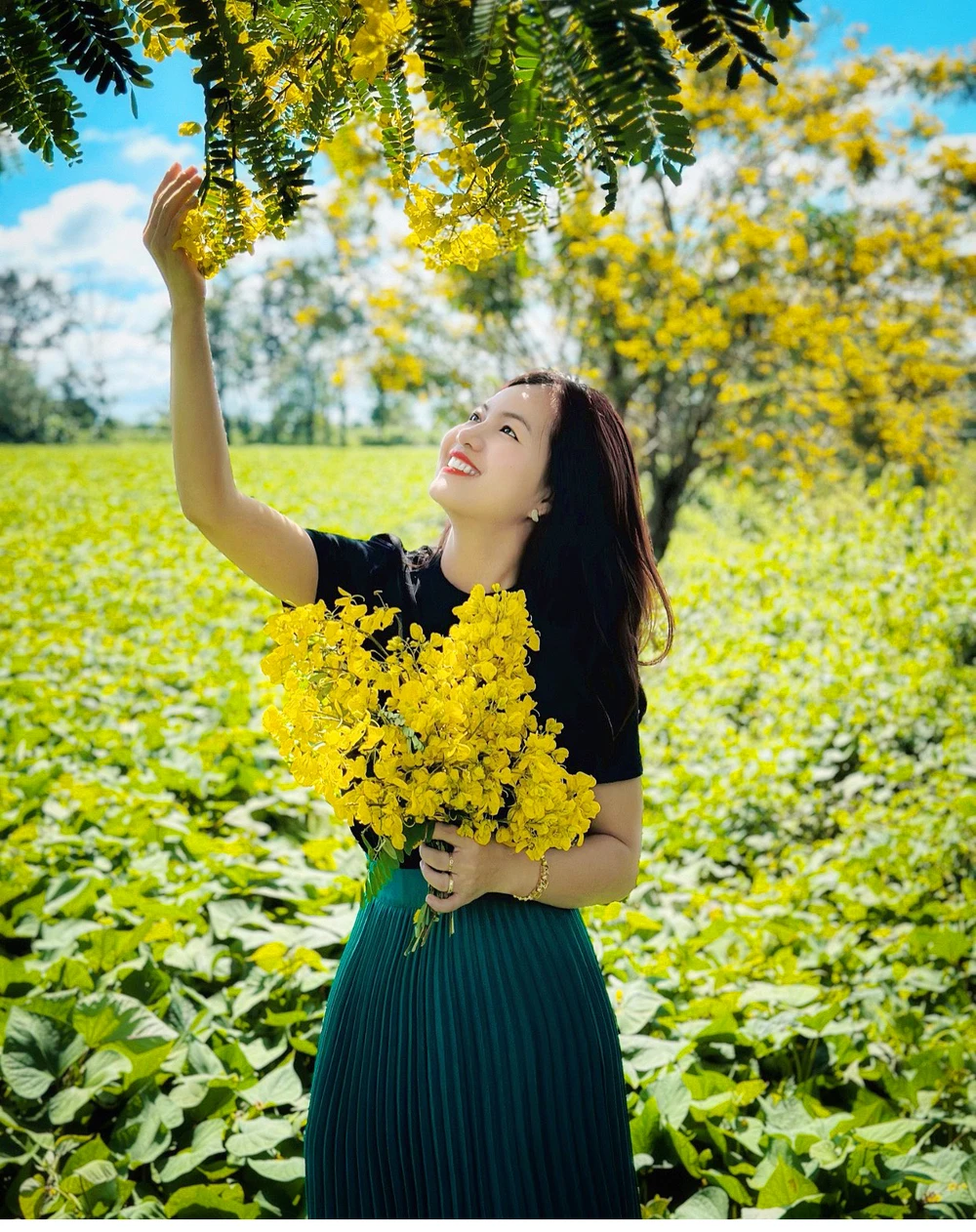 Mua-hoa-muong-vang-doi-che-bau-can 8.jpg