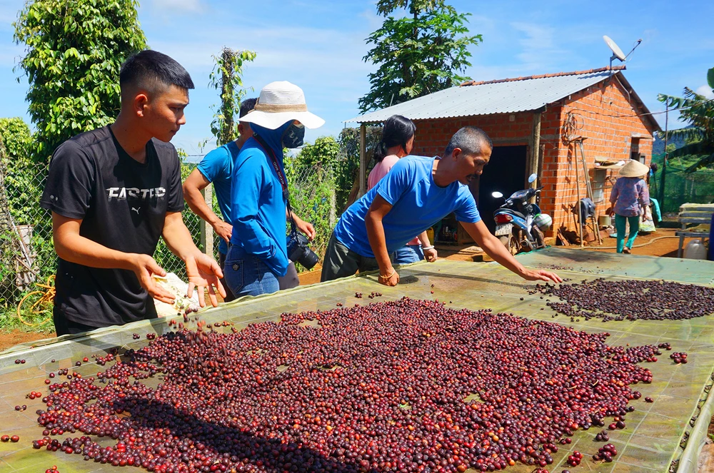 Du Lịch Nông Nghiệp