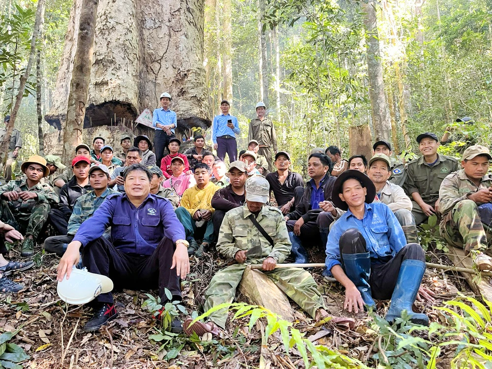Sao cát ngàn năm tuổi