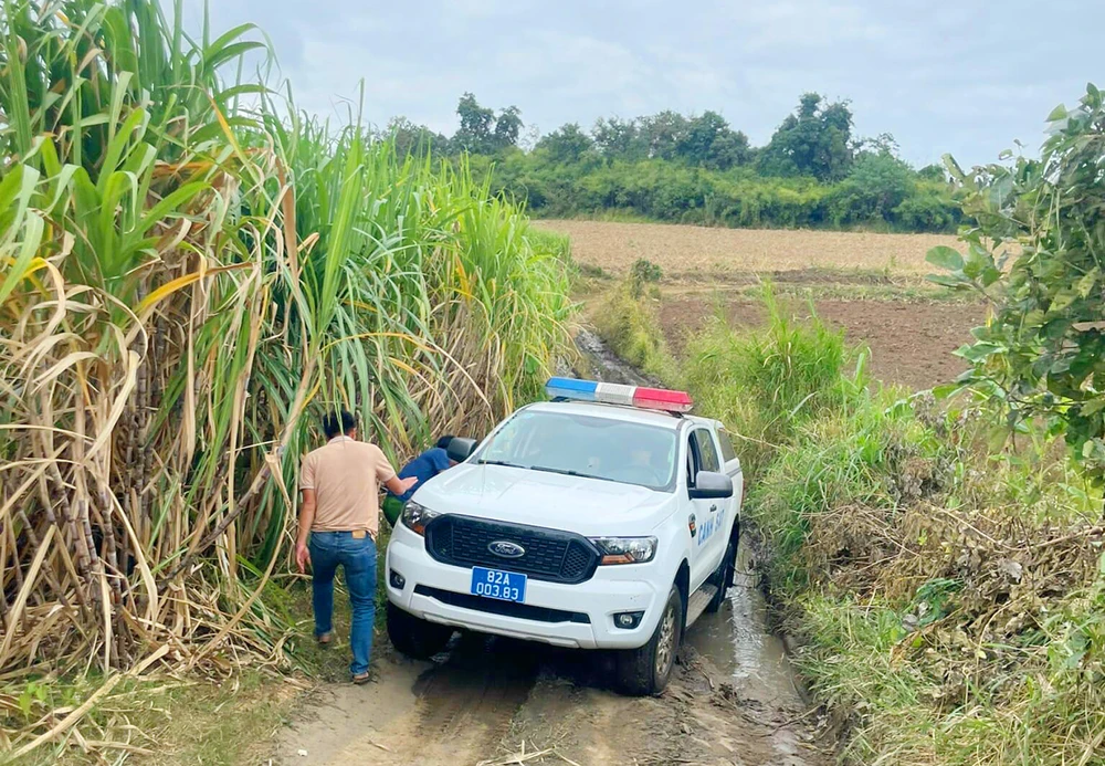 Hai cha con mất tích