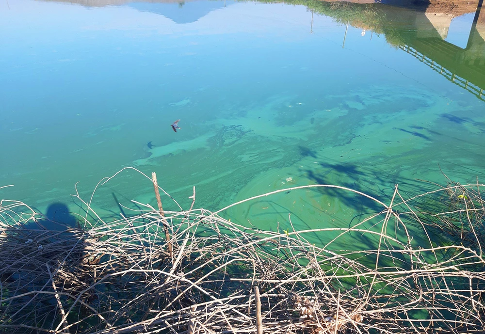 Hồ nước thủy điện Ia Ly hôi tanh