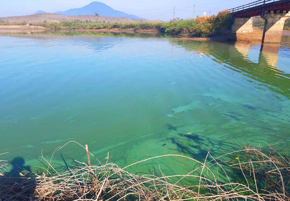 Hồ thủy điện Ia ly mà xanh