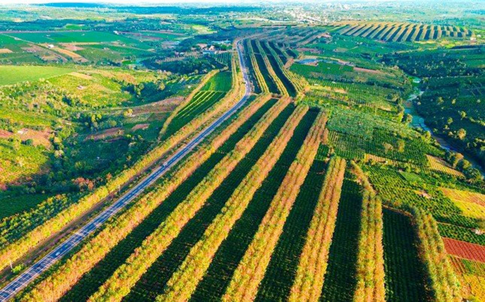 Tây Nguyên mùa đẹp nhất