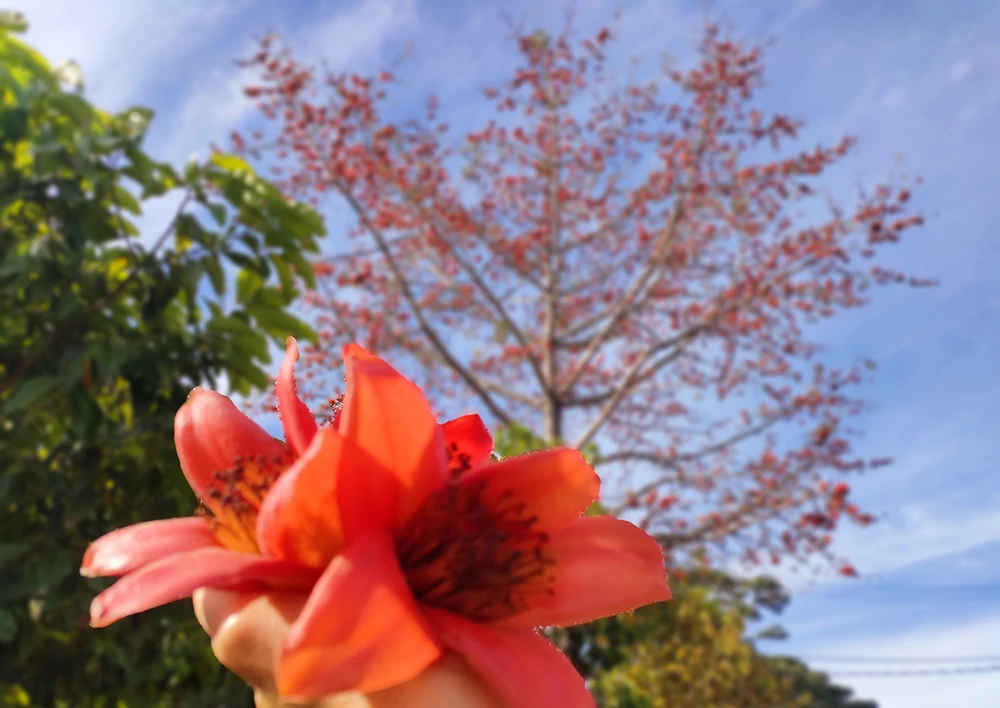 Tay-nguy-mua-dep-nhat-trong-nam 8.jpg