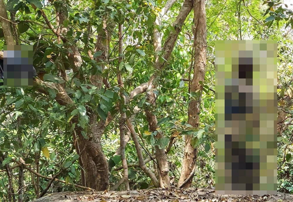 Người đàn ông tử vong treo cổ trong đồi thông