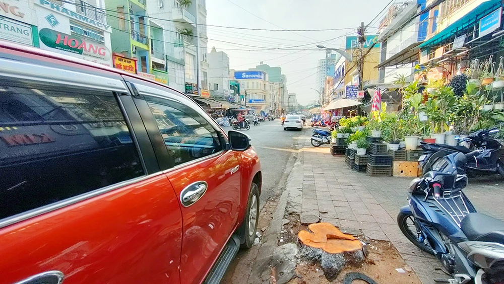 Hàng cây xanh lim xẹt ở TP Pleiku bị cưa hạ