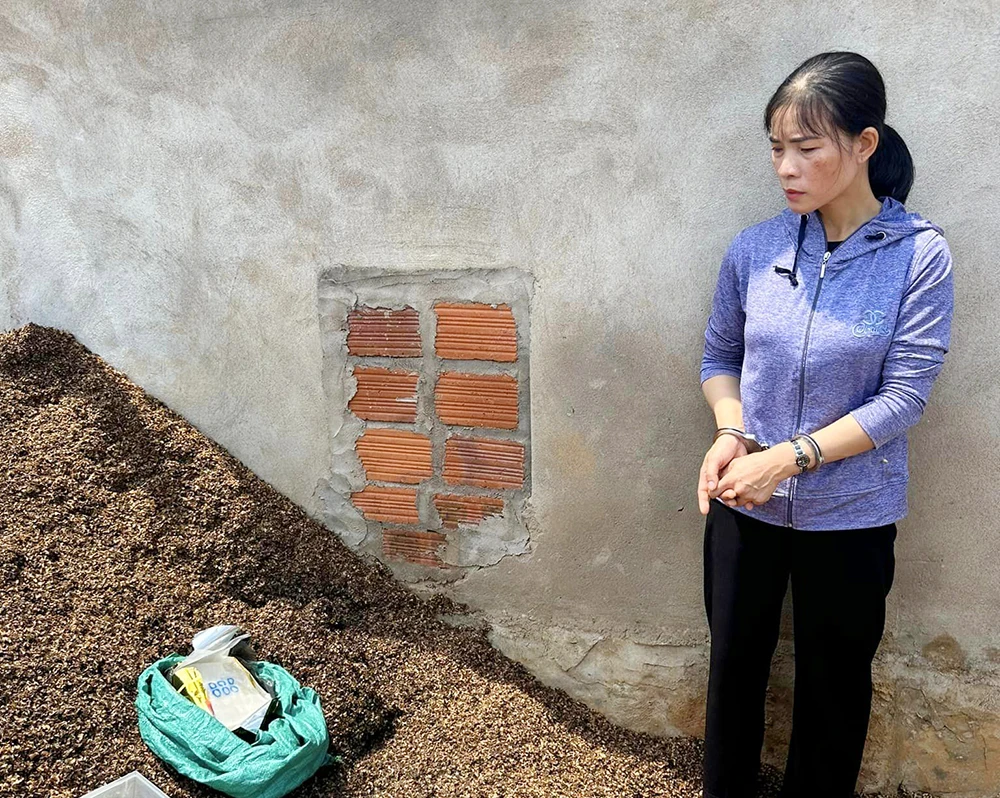 Bắt vụ ma túy lớn liên tỉnh