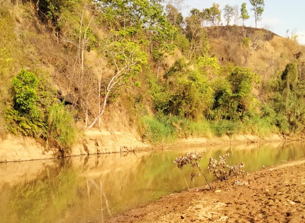 Ba cháu nhỏ đuối nước tử vong khi đi chăn bò