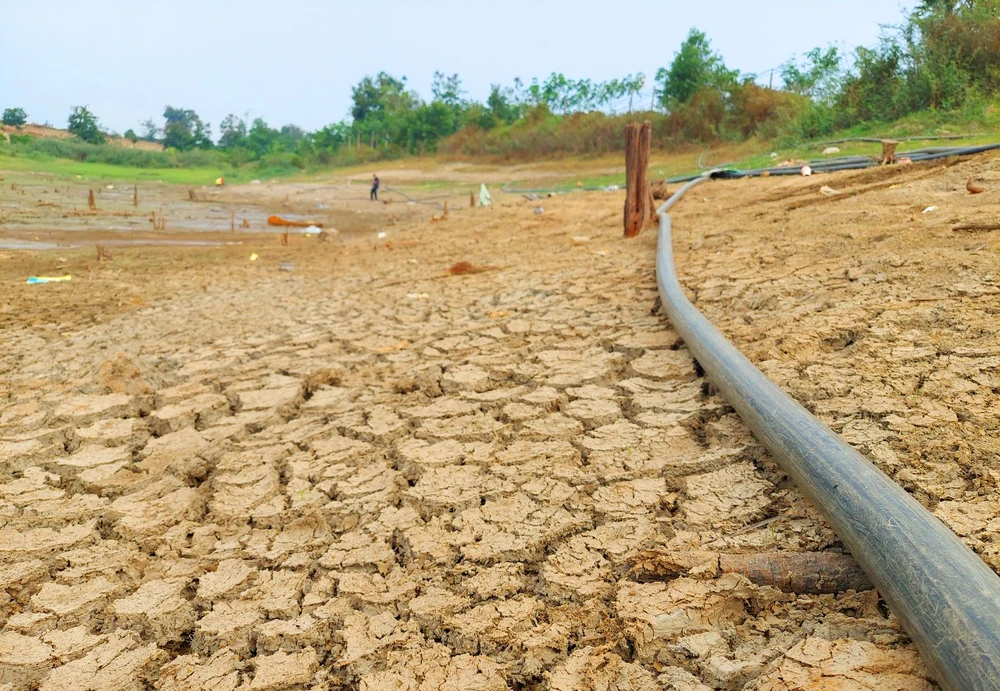 Nông dân Tây Nguyên quay quắt trong hạn hạn kéo dài