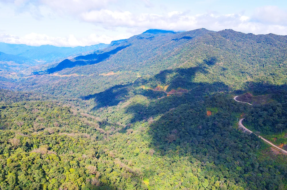 Sai phạm tại khu bảo tồn thiên nhiên ngọc linh