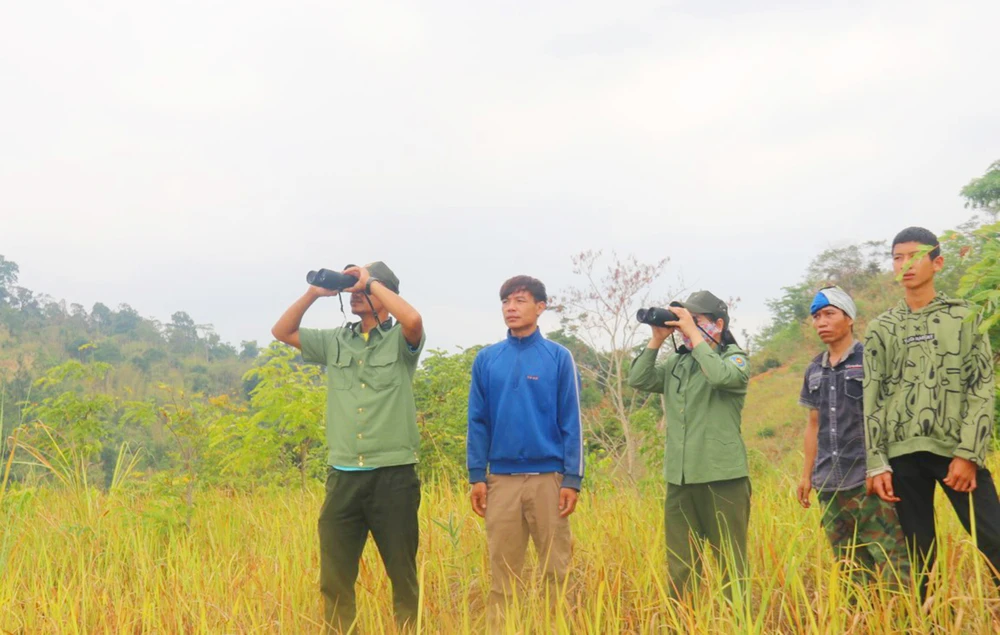 Vườn Quốc gia Chư Mom Ray áp lực giữ rừng Kon Tum