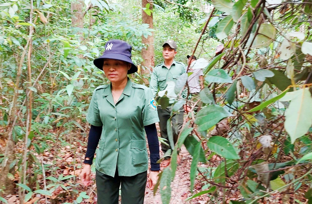 Vườn Quốc gia Chư Mom Ray áp lực giữ rừng Kon Tum