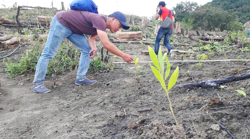 Sở Tài nguyên Môi trường thiết kế gói thầu đo đạc các công ty lâm nghiệp huyện Kbang, Gia Lai gây lãng phí