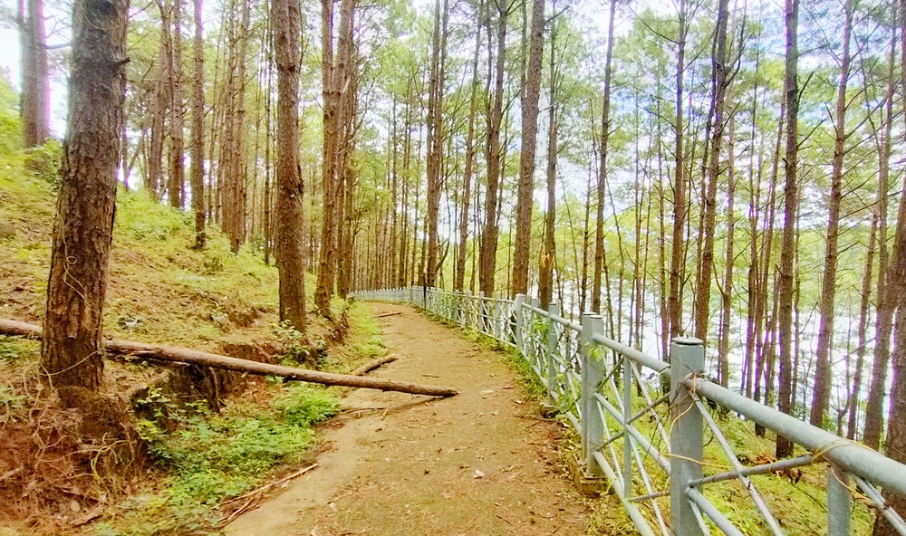 Gia Lai nhiều nhà thầu có vốn tạm ứng quá hạn khó thu hồi, gây thất thoát