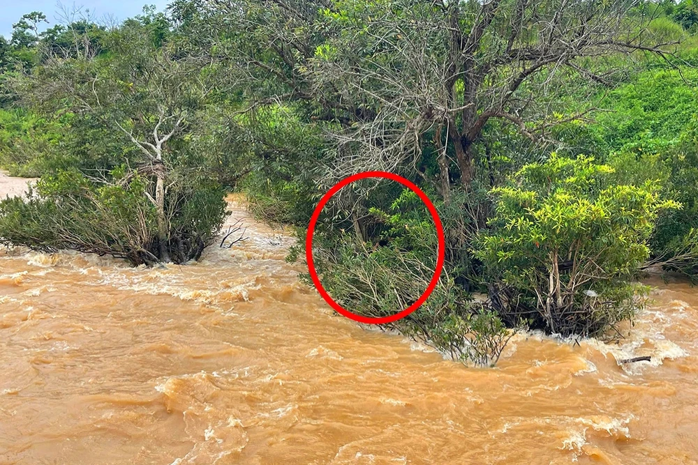 Công an huyện Mang Yang giải cứu thành công thanh niên bị mắc kẹt giữa dong nước lũ lúc đi câu cá