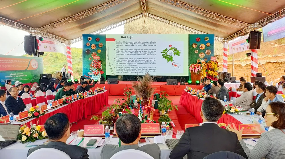 Hội thảo xây dựng bảo vệ, phát triển thương hiệu sâm Ngọc Linh - sâm Việt Nam