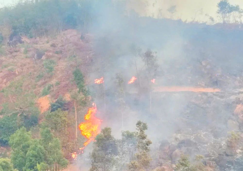 Người dân đốt dọn thực bì làm nương rẫy cháy lan vào rừng tự nhiên xã Ia Din, huyện Đức Cơ