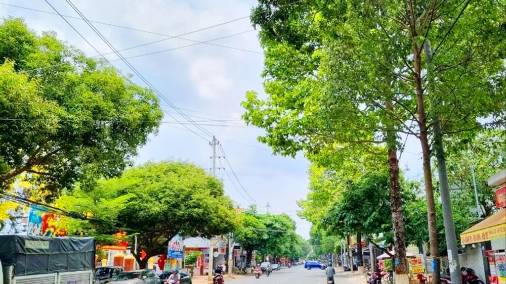 Bộ Công an đề nghị UBND tỉnh Đắk Lắk tiếp tục cung cấp hồ sơ dự toán còn thiếu của bốn dự án cây xanh trên địa bàn.