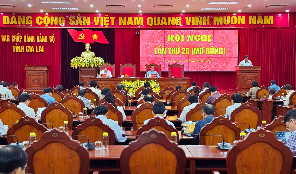 Bí thư Tỉnh ủy Gia Lai yêu cầu làm rõ vụ chặt cây xanh tại phường Cheo Reo, thị xã Ayun Pa trước sáp nhập