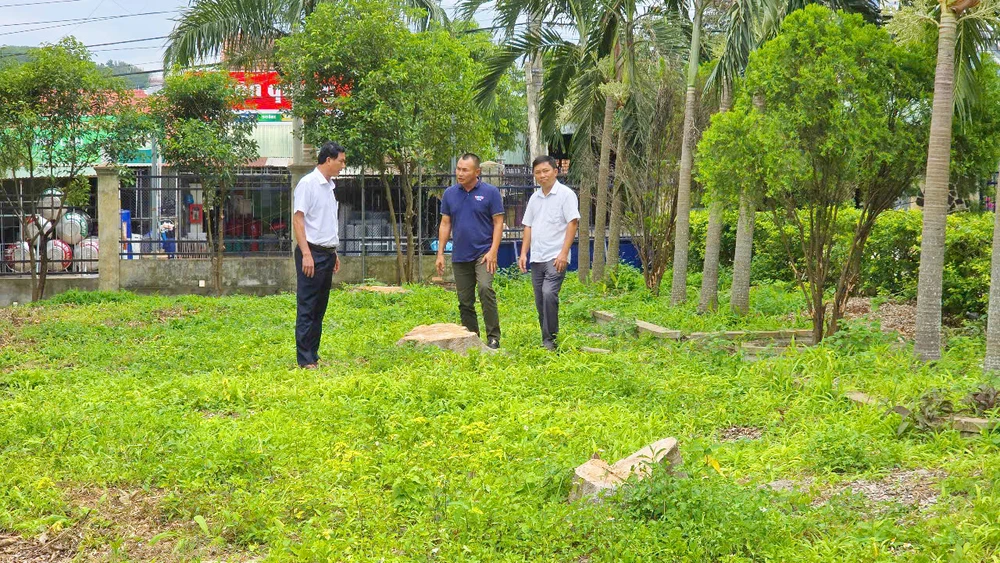 Theo báo cáo kiểm tra ban đầu, UBND xã Đông cũ (nay là trụ sở Đảng ủy xã Kông Bơ La, tỉnh Gia Lai) cưa hạ cây xanh để bán củi, lấy tiền sửa trụ sở.