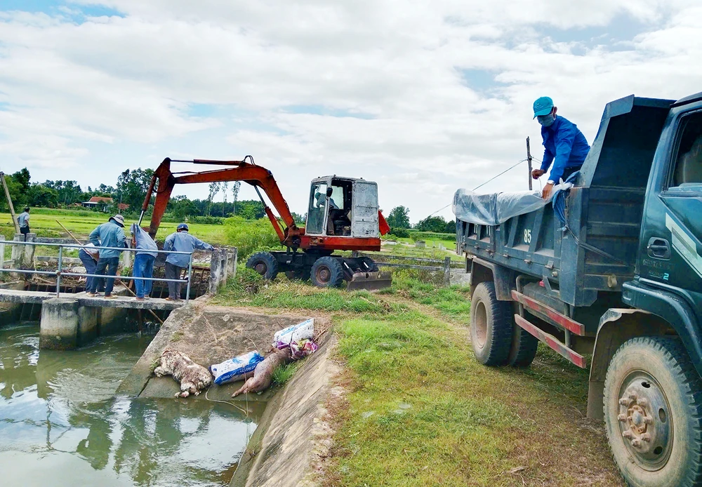 Chủ tịch UBND xã Bình Hiệp (Gia Lai) đã gửi thư xin lỗi toàn thể nhân dân và mong muốn bà con không vứt xác heo chết bừa bãi xuống kênh mương, khiến việc thu gom quá tải .